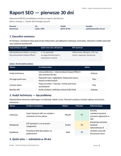 Raport SEO – strona 1 (miniatura)